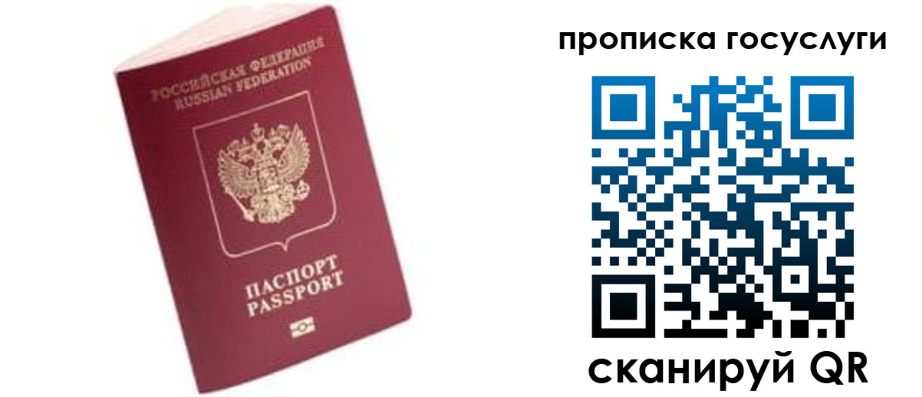 прописка в Сосенском